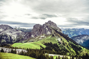 Mountain