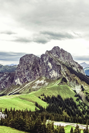 Mountain