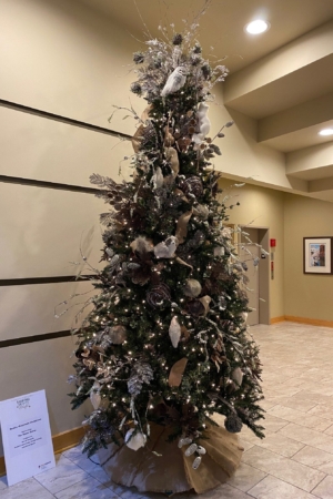 Rustic Mountain Christmas 3
