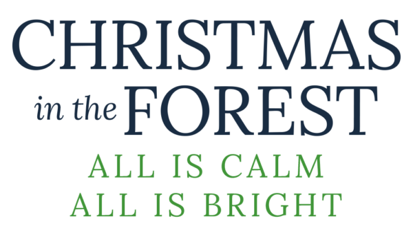 Providence Christmas Forest